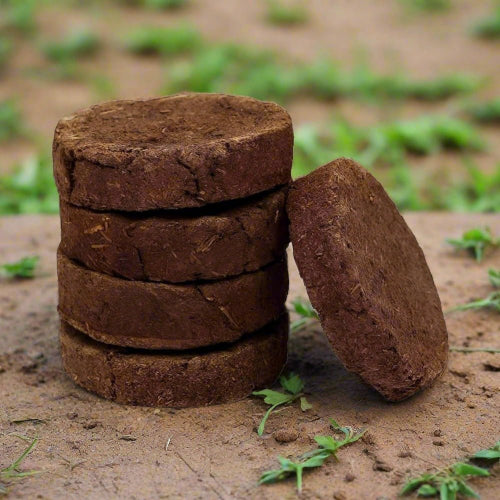 Organic Desi Kangeyam Cow Dung Cake - Svastya Organic Farms