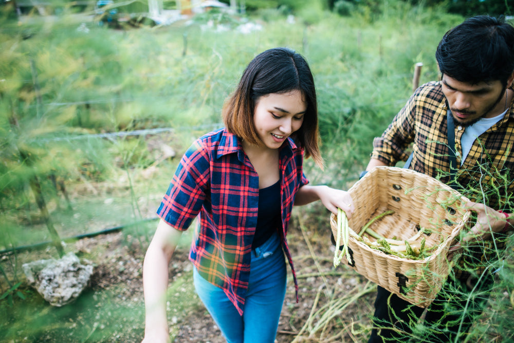 How Organic Farming Practices Improve Soil Health & Biodiversity with Natural Products?