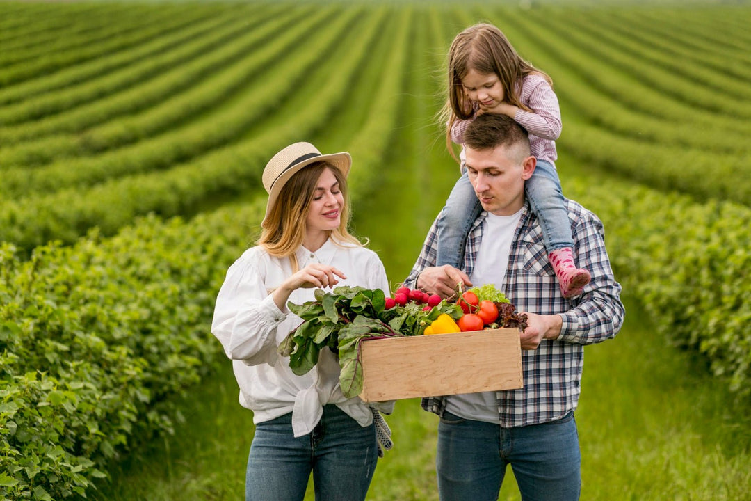 5 Organic Farm Products Every Health-Conscious Family Should Start Using Today - Svastya Organic Farms