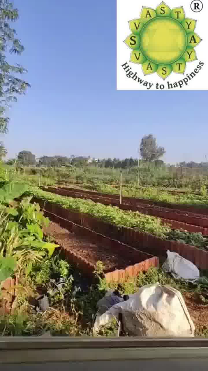 How to Know If Your Food Is Truly Organic (Not Just Marketed as Organic)