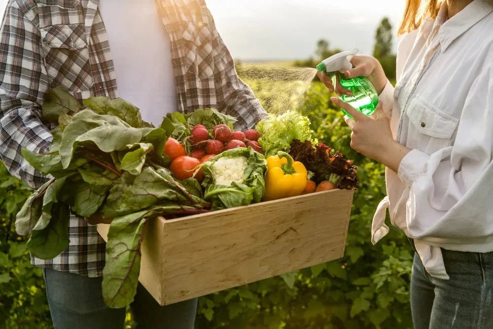 Organic Farm Products: A Path to Healthier Living - Svastya Organic Farms