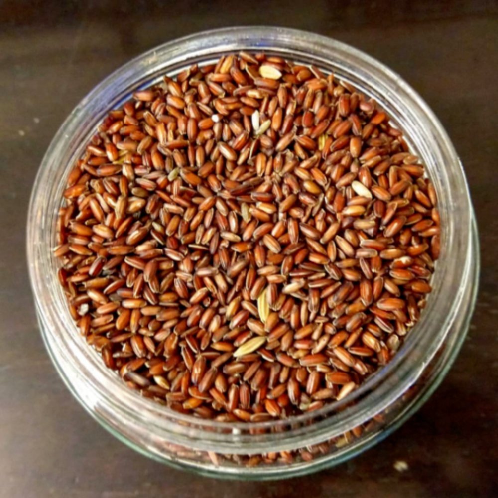 Poongar: The Rice That Grandmothers Chose for New Mothers - Svastya Organic Farms