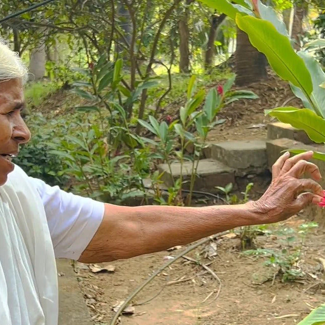 Granny's Organic Special