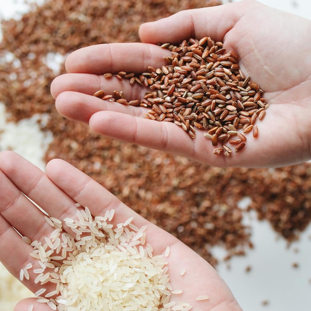 Organic Pulses and Grains - Svastya Organic Farms